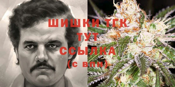 apvp Алексин