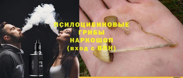 ALPHA PVP Алзамай