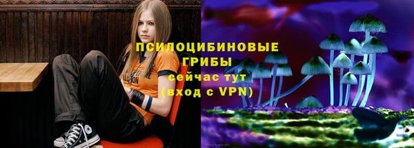 apvp Алексин