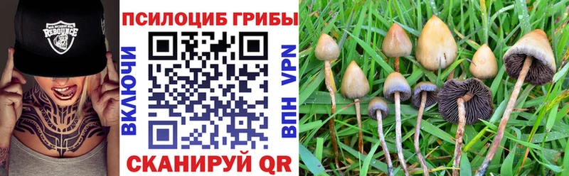Галлюциногенные грибы Psilocybe  omg зеркало  Чердынь 